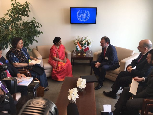 whatsapp image 2017-10-02 at 11.29.48 am